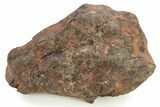 Dimmitt Chondrite Meteorite ( g) - Texas #263173-1